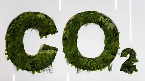 2026最新：塞布尔健康备战训练营，却恐难追上斯玛特出场速度